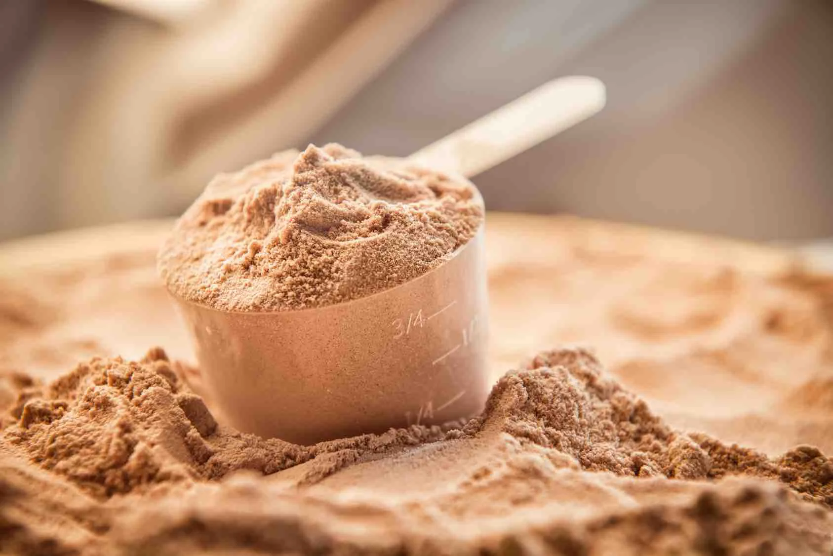 Best Protein Powders